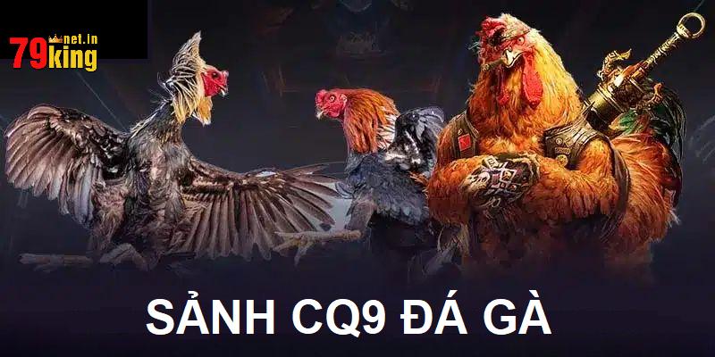 CQ9 đá gà là tụ điểm giải trí rất đáng tin cậy