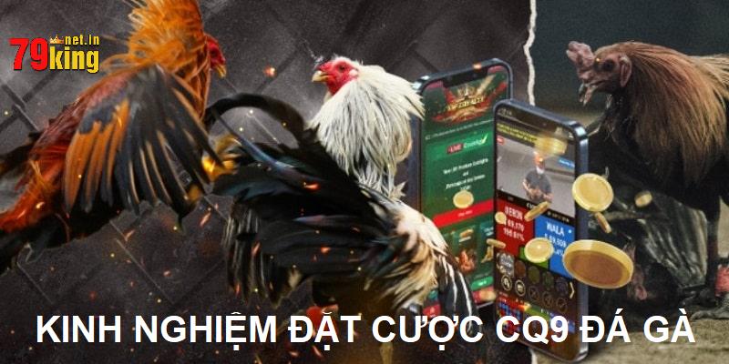Nắm vững các mẹo sau để chiến thắng mọi mặt trận