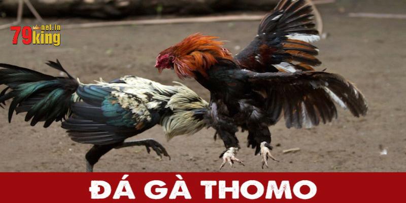 Tới 79King để được chiêm ngưỡng những màn đấu đỉnh cao