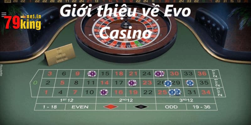Tìm hiểu một vài thông tin về Evo Casino tại 79King