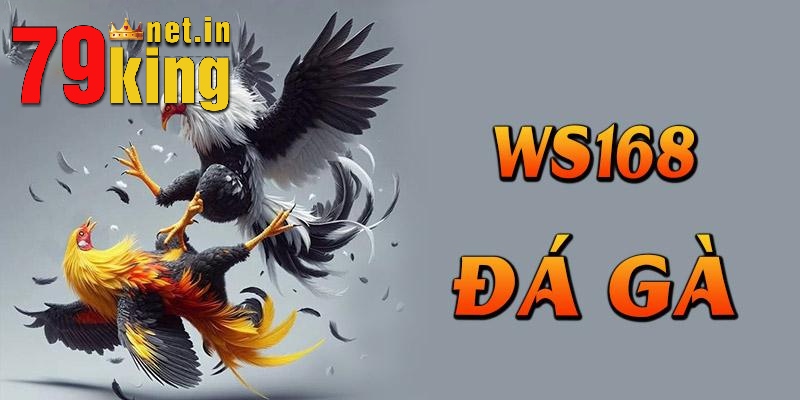 Các hình thức chơi Ws168 đá gà phổ biến đừng bỏ lỡ